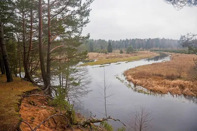 Уникальность природы: фото реки Вилия в момент своей полной красоты