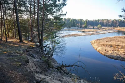 Красивый рисунок реки Вилия в арт-стиле