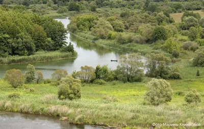 Фото Реки Ворона в гармонии с природой