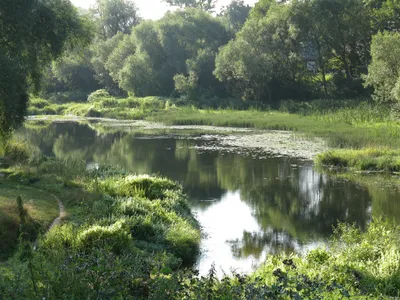 Фото Реки Ворона: сохраните впечатления на долгое время