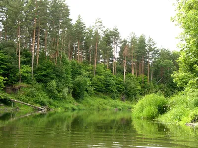 Необычное путешествие: фотография Реки ворона