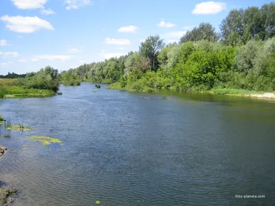 Захватывающая фотография Реки ворона