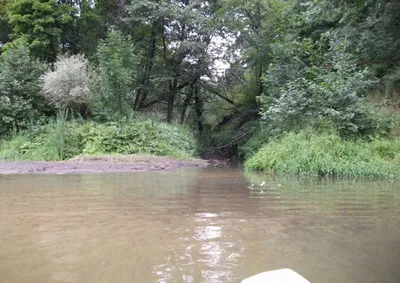 Изображение реки Ворона - мир воды и красоты