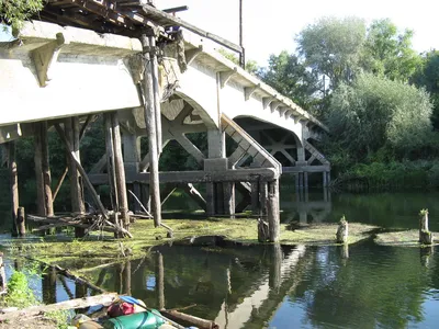 Фоткa реки Ворона в прекрасных цветах природы