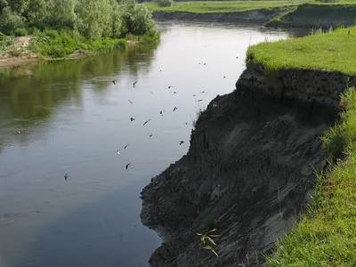 Фотографии реки Ворона: красивые виды в HD качестве