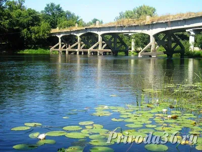 Изумительные фотки реки Ворона, доступные для скачивания бесплатно