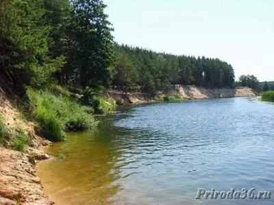 Природные чудеса реки Воронеж: скачивайте фото бесплатно