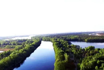 Живописные пейзажи воды на реке Воронеж