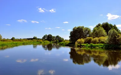 Уникальные моменты на реке Воронеж в объективе