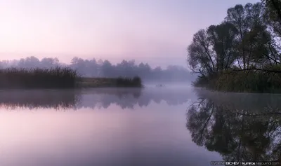 Природные сокровища: река Воронеж на фото