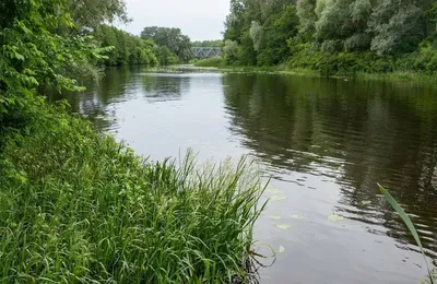 Фото Реки Ворскла: природное великолепие во всей красе