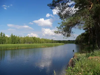 Удивительные снимки Реки Ворскла для вашего удовольствия