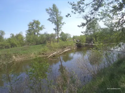 Вдохновляющие виды реки Ворскла на фото