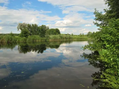 Фотографии реки Ворскла в хорошем качестве.