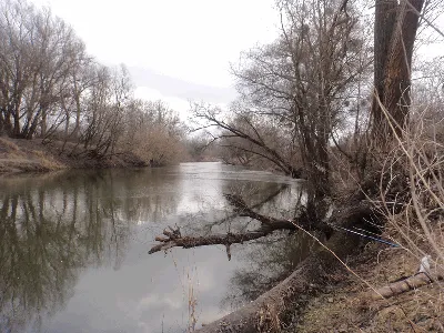 Фото реки Ворскла в прекрасном качестве.