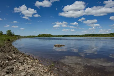 Река зея  фото