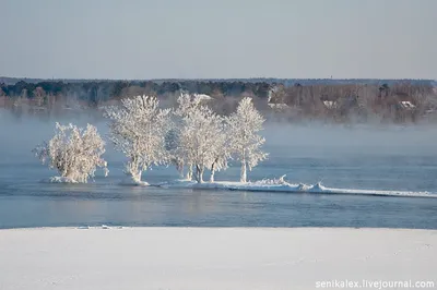 Лучшие изображения Реки Зея для использования в качестве фонов