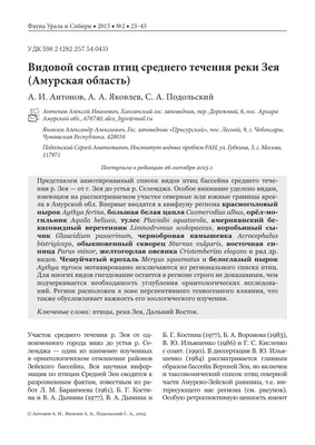 История и культура: отражение водных путей Реки Зея