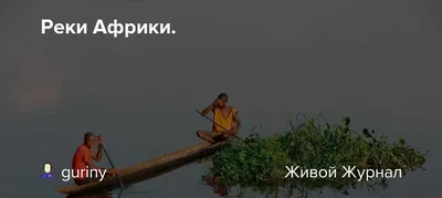 Приключение на реках Африки: фотографии, которые заставят вас мечтать о путешествиях