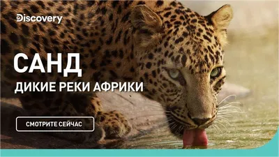 Уникальные фотографии реки Африки