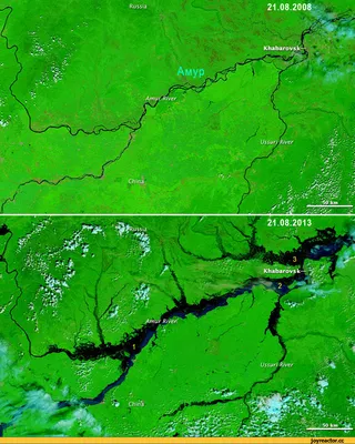 Фотографии реки Амур: приключение водного пути