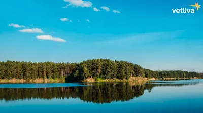 Фото рек Беларуси с неповторимой красотой - бесплатно скачайте в HD, Full HD или 4K