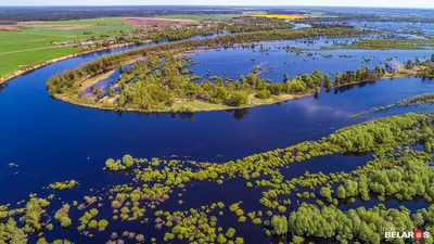 Природные красоты Беларуси на фото - бесплатно скачайте в HD, Full HD или 4K