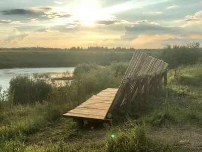 Водный экосистема: захватывающие снимки животных и растений, населяющих реки