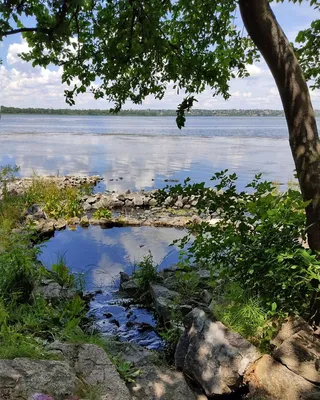 Фото потоков и рек в хорошем качестве