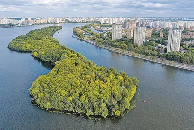 Арт реки Москвы: воплощение природы в искусстве