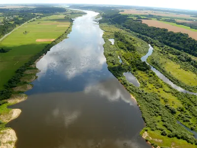 Река Неман в объективе: природное великолепие