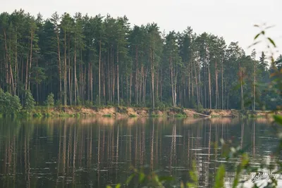 Фотография реки Неман в арт-стиле