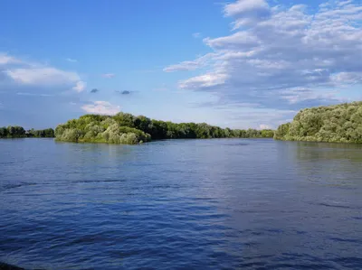 Величественная река Ока в объятиях природы