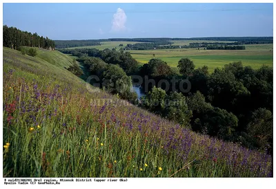 Фотографии реки Оки в формате PNG - бесплатно