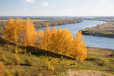 Фотографии Реки Оки: Погрузитесь в мир природы и спокойствия