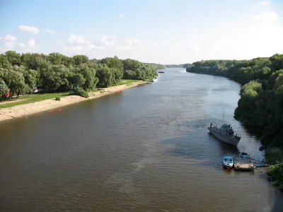 Проявление живой природы: фотографии рек, оживших на снимках