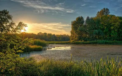 Звездное небо в отражении: Реки Украины на фото