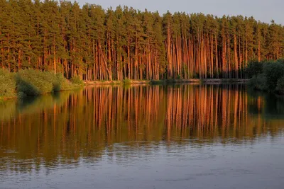 Фото реки в HD качестве с эффектом арт-стиля