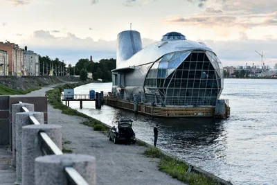 Фото ресторана рыба: Насыщенные цвета и яркие моменты морской жизни