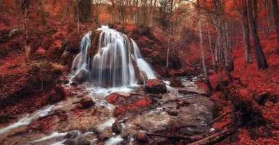 Сказочная красота природы и гастрономических изысков: Ресторан водопад СПБ