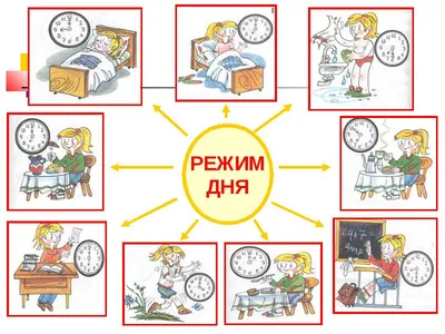 Картинки режима дня школьника 2 класса: выберите размер изображения