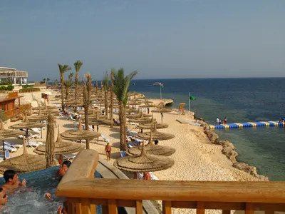 Фото Риф оазис блю бей пляжа - вдохновляющие места