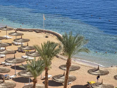 Риф оазис блю бей пляжа на фото: откройте для себя удивительные пейзажи