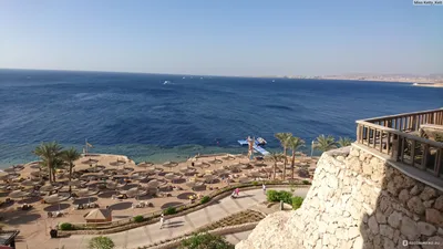 Фото пляжа с видом на Риф оазис