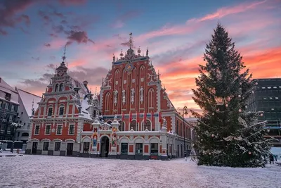 Зимний город Рига: Фотоальбом в разных форматах