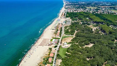 Арт-фото морской жизни в Риме: впечатляющий вариант для фона