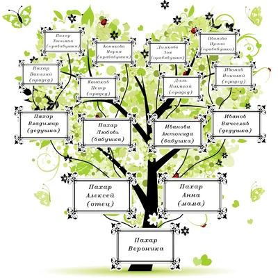 Бесплатные фото родословного дерева в высоком разрешении