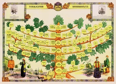 Фото родословного дерева: историческая генеалогия