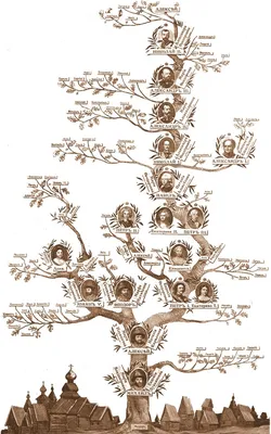 Родословие деревьев: зеркало семейных корней и ветвей