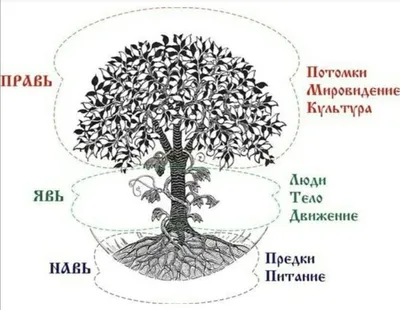 Красивая картинка родового дерева для фона рабочего стола